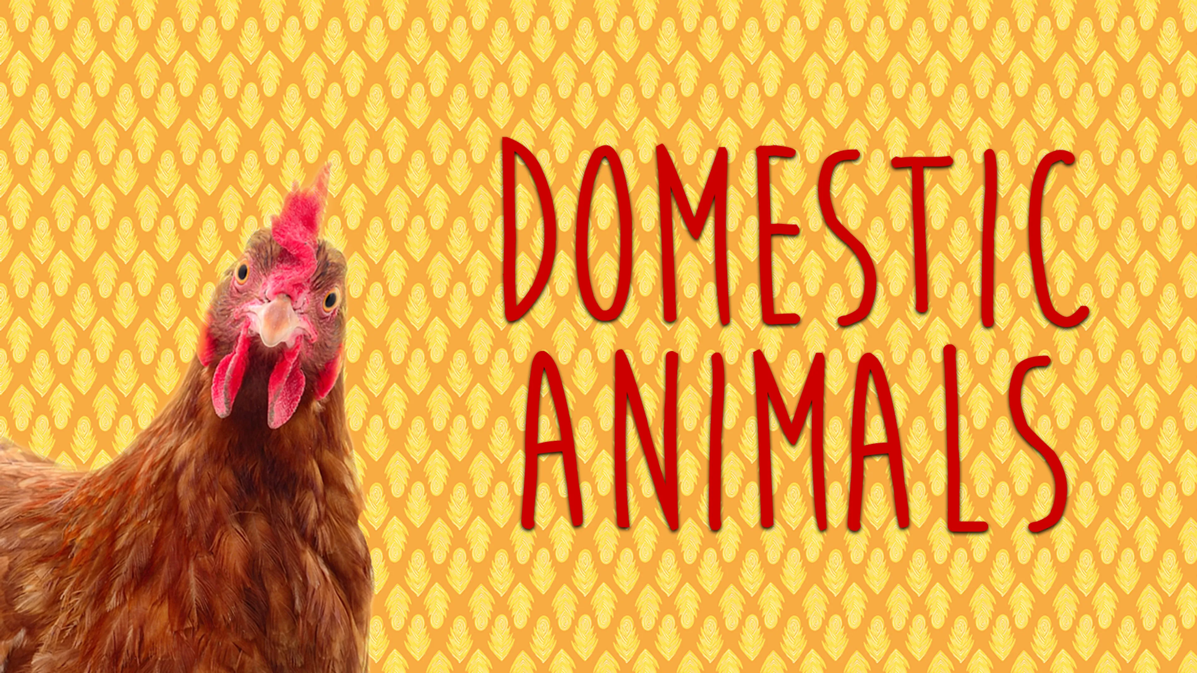 Domestic Animals poster